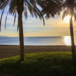 malaga spain live